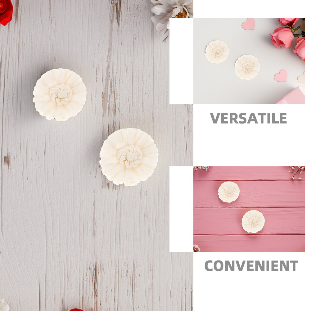 8Pcs Flameless Chrysanthemum F - огляд і ціна Home Fragrance Usa